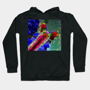 ATP Synthase Hoodie